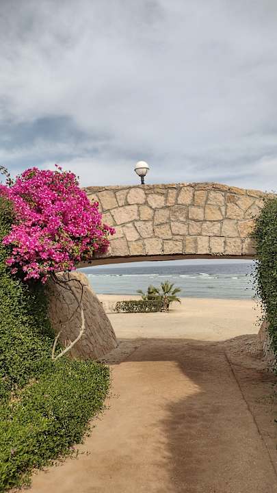 Gartenanlage Three Corners Equinox Beach Resort