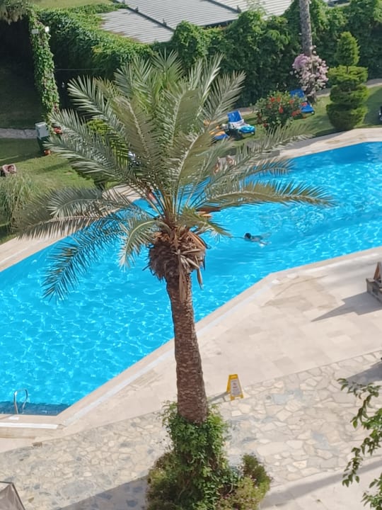 Pool Club Turtas Beach Hotel