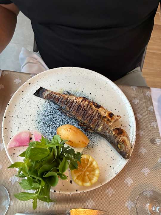 Gastro Delphin Deluxe Resort