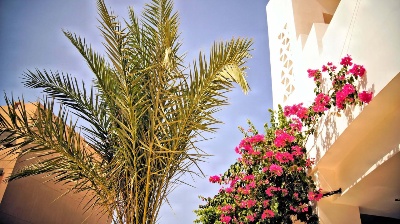 Hotel Three Corners Equinox Beach Resort