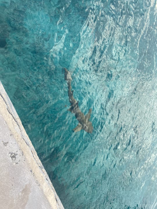 Strand Kuredu Island Resort & Spa