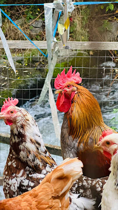 Sport & Freizeit Maraias Luxury Suites & Apartments