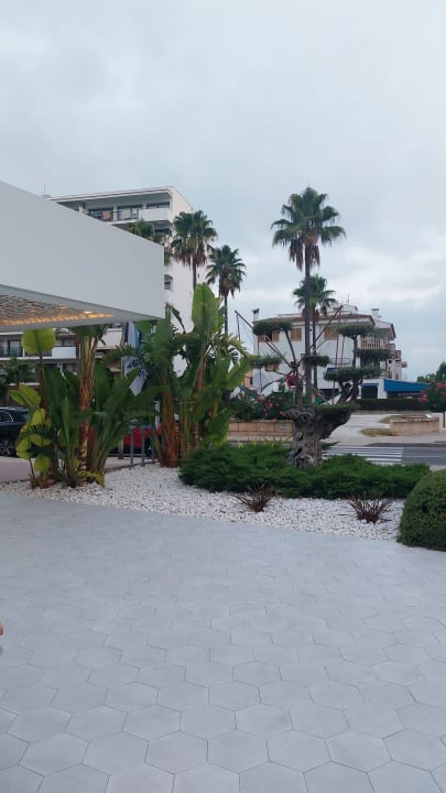 Gartenanlage Alcudia Garden Aparthotel