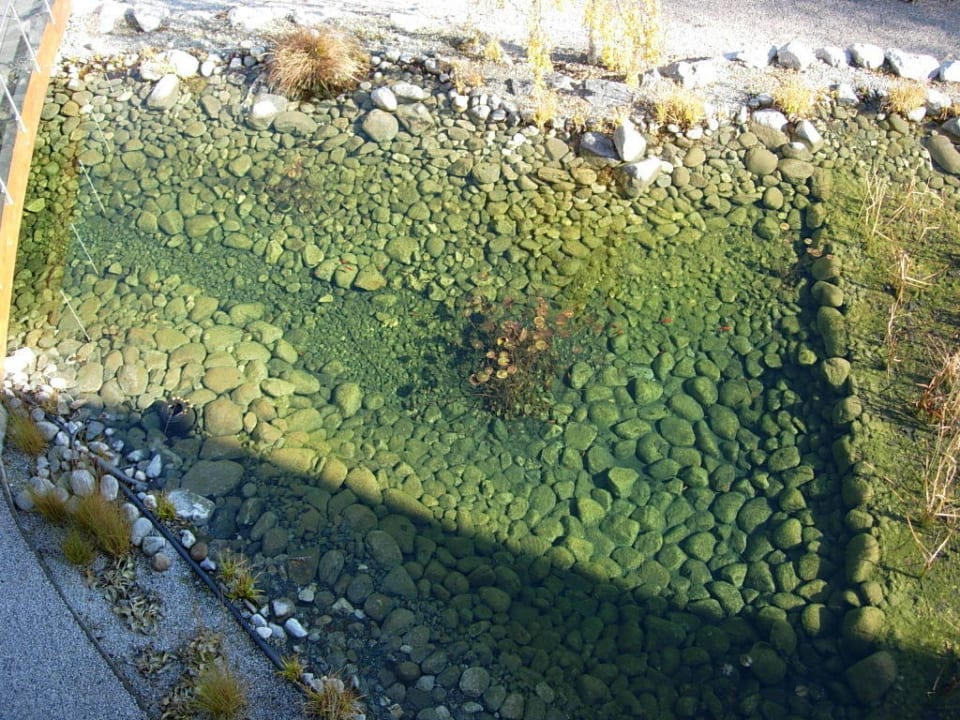 Blick in den Gartenteich vom Balkon aja Fürstenhaus am Achensee