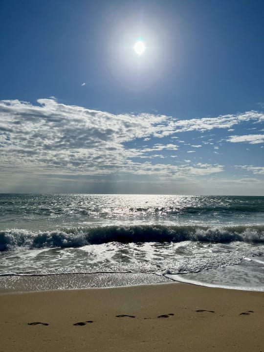 Strand GRIFID Vistamar