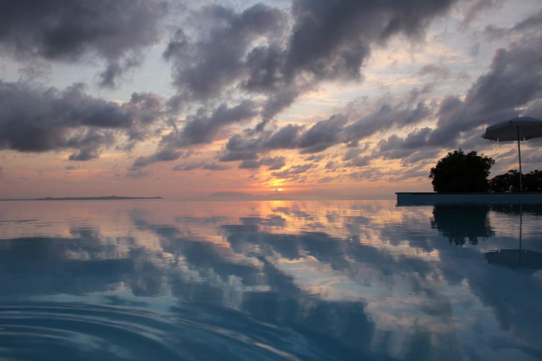 Abendstimmung Il Parco Degli Ulivi