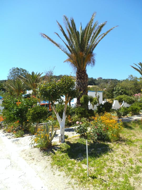 Hotel Akis Hotel Akis