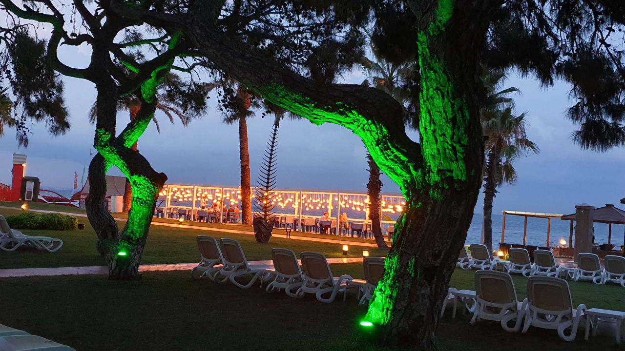 Gastro TUI MAGIC LIFE Beldibi +16