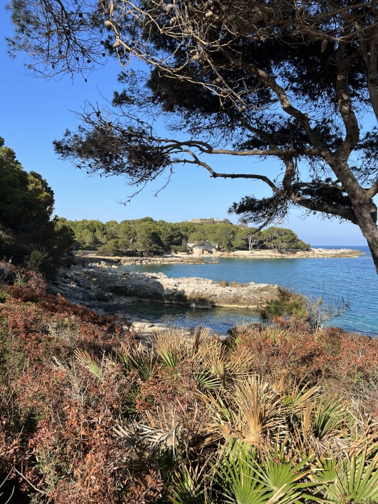 Ausblick Iberostar Waves Pinos Park