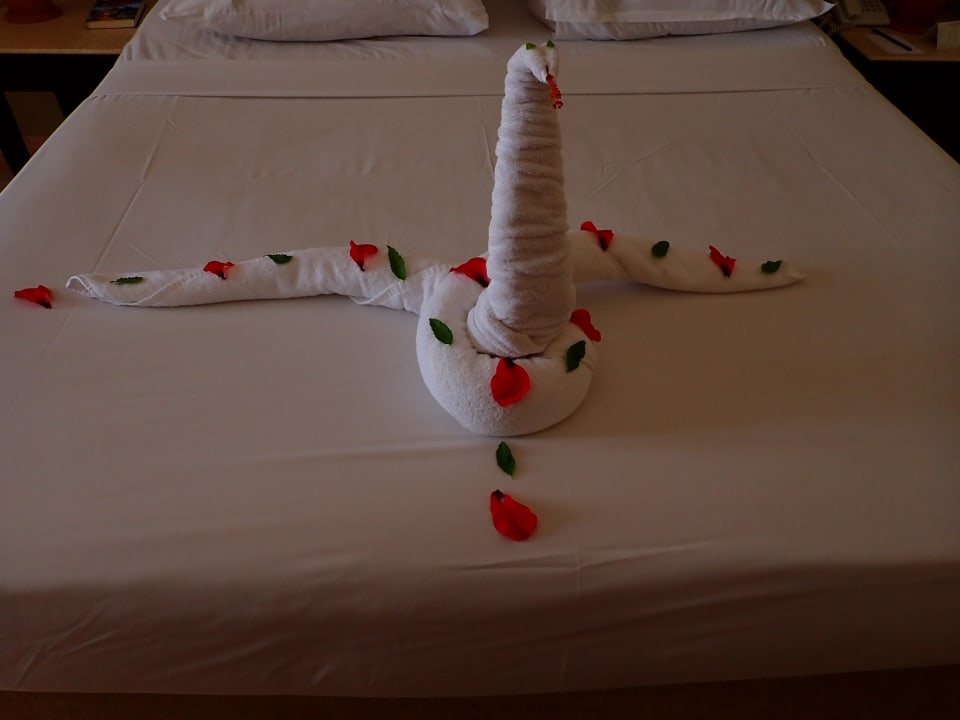 Zimmer Steigenberger Coraya Beach - Adults only