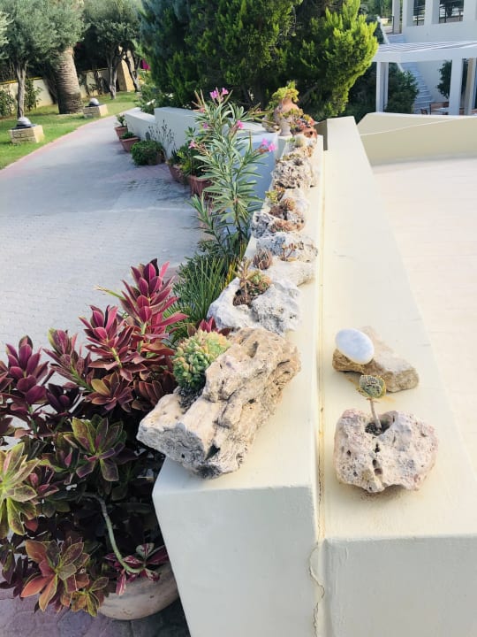 Außenansicht Hotel Minos Mare Beach