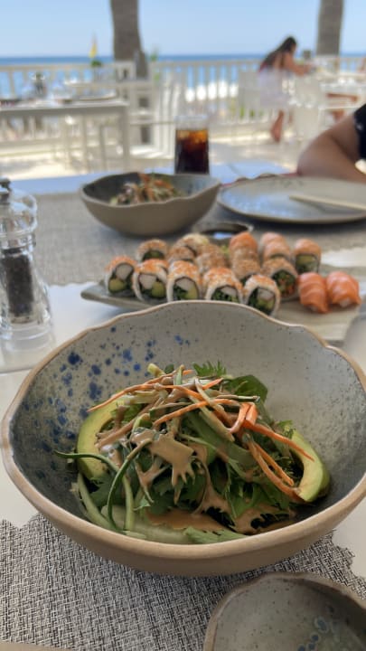 Gastro Acanthus Cennet Barut Collection