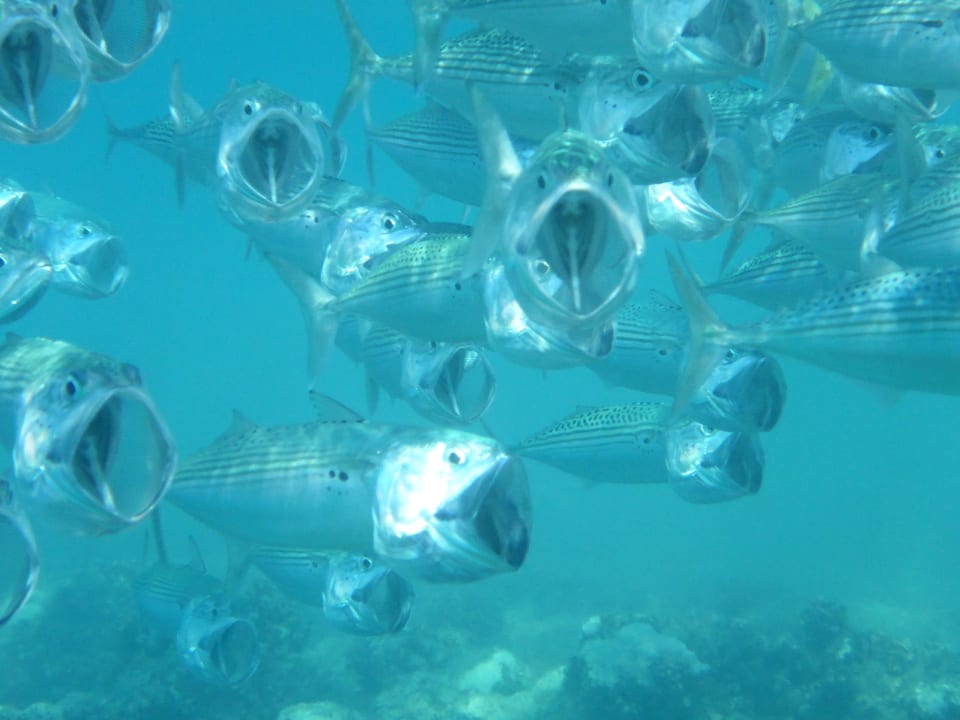 Strand Three Corners Equinox Beach Resort