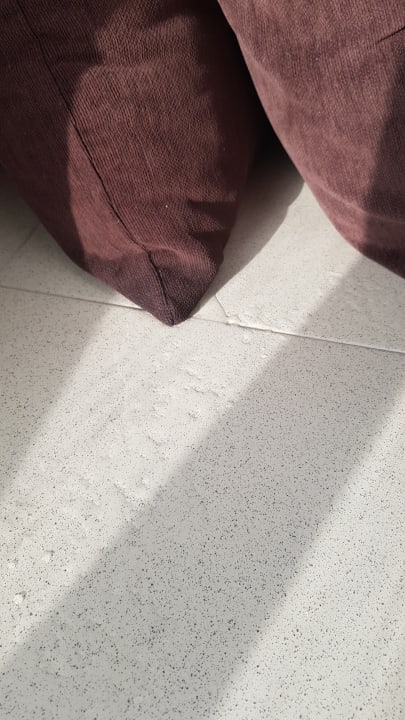 Zimmer Green Garden Aparthotel