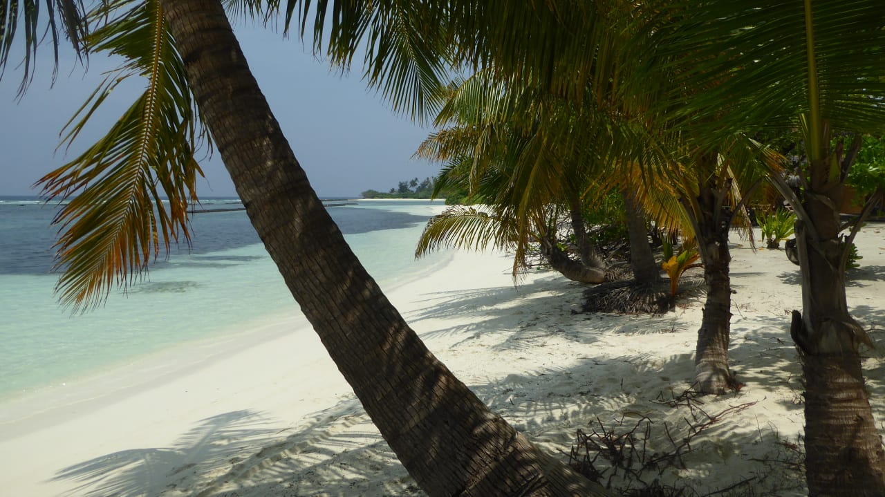 Vor unserem Zimmer Kuredu Island Resort & Spa