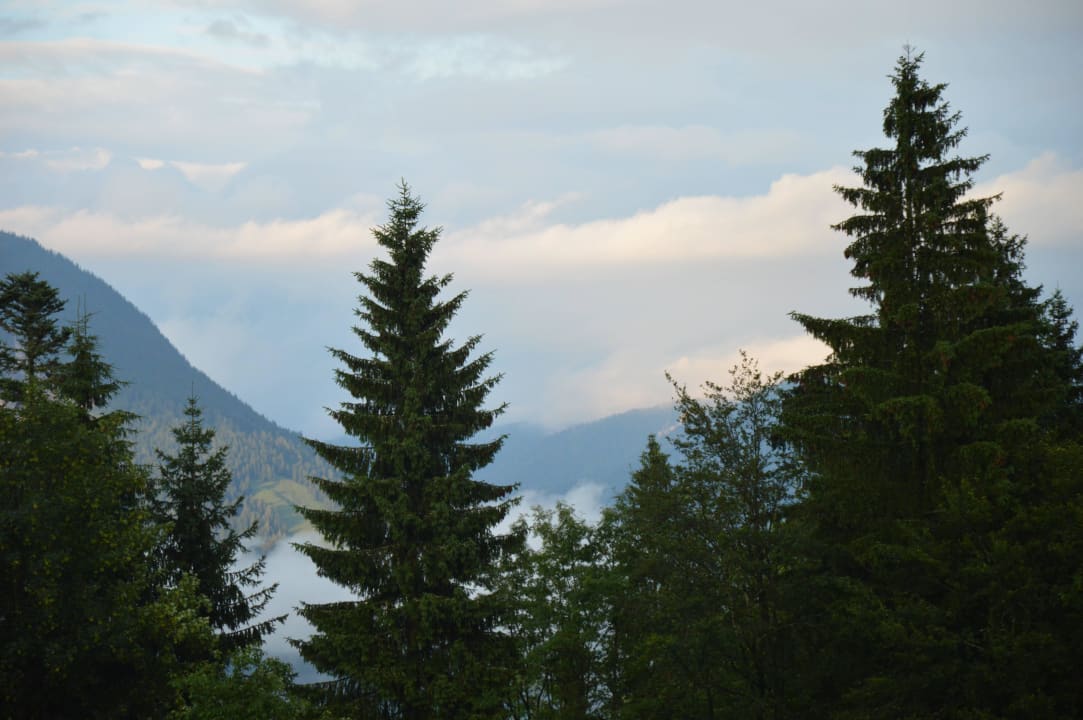 Berge Berghotel Pointenhof