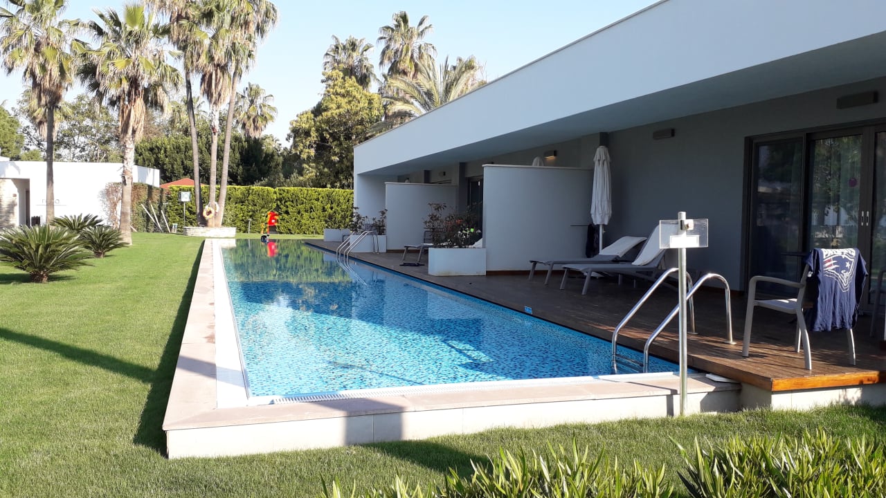 Pool Acanthus Cennet Barut Collection