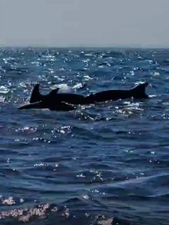 Sport & Freizeit Hotel Three Corners Ocean View prestige - Adults only