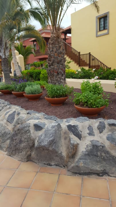 Gartenanlage Bahia Principe Sunlight Costa Adeje