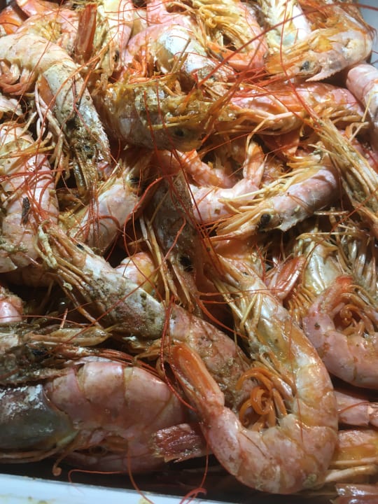 Gastro TUI MAGIC LIFE Calabria