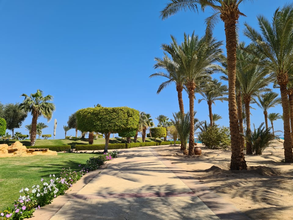 Gartenanlage Palm Royale Resort - Soma Bay