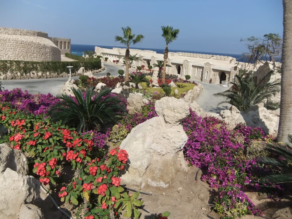 Ausblick Pickalbatros Citadel Resort