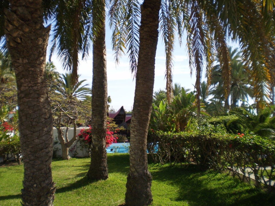 Garten HL Miraflor Suites Hotel