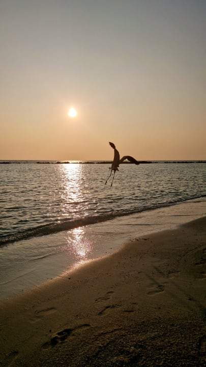 Außenansicht Summer Island Maldives