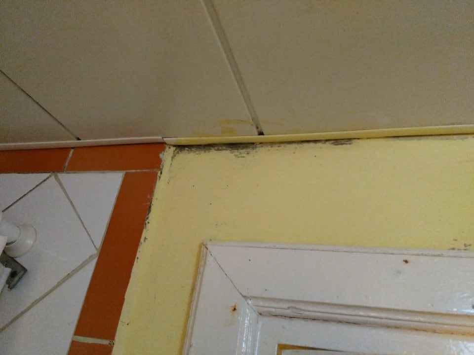 Zimmer Hotel Playa Pesquero