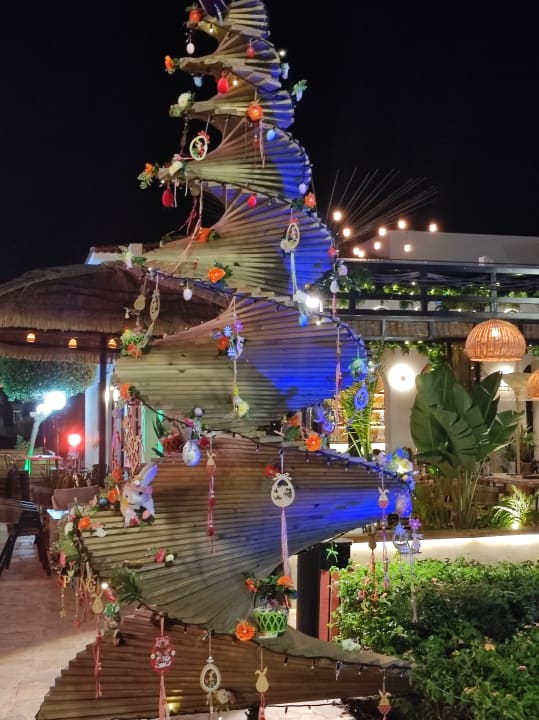 Gartenanlage Constantinou Bros Athena Royal Beach Hotel