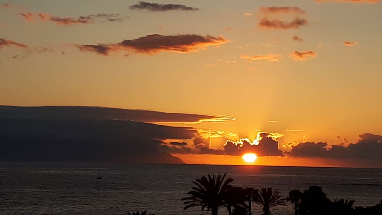 Ausblick Hotel Riu Palace Tenerife