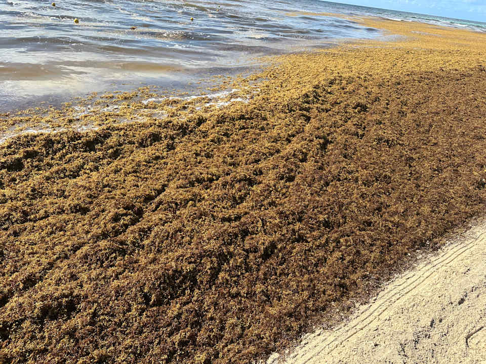 Strand Viva Azteca by Wyndham - All Inclusive Resort