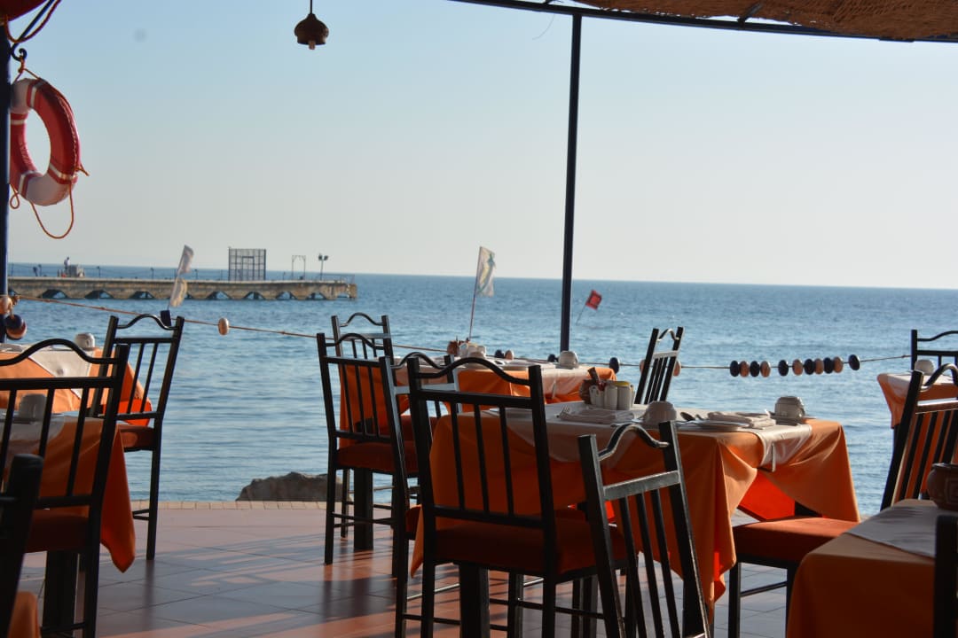 Die Aussicht beim Früstück Desert Rose