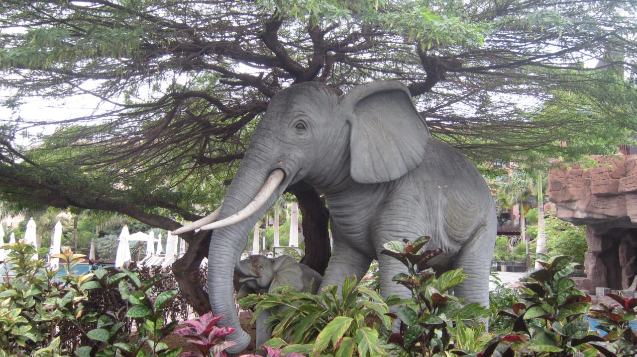 Elefanten im Garten Lopesan Baobab Resort