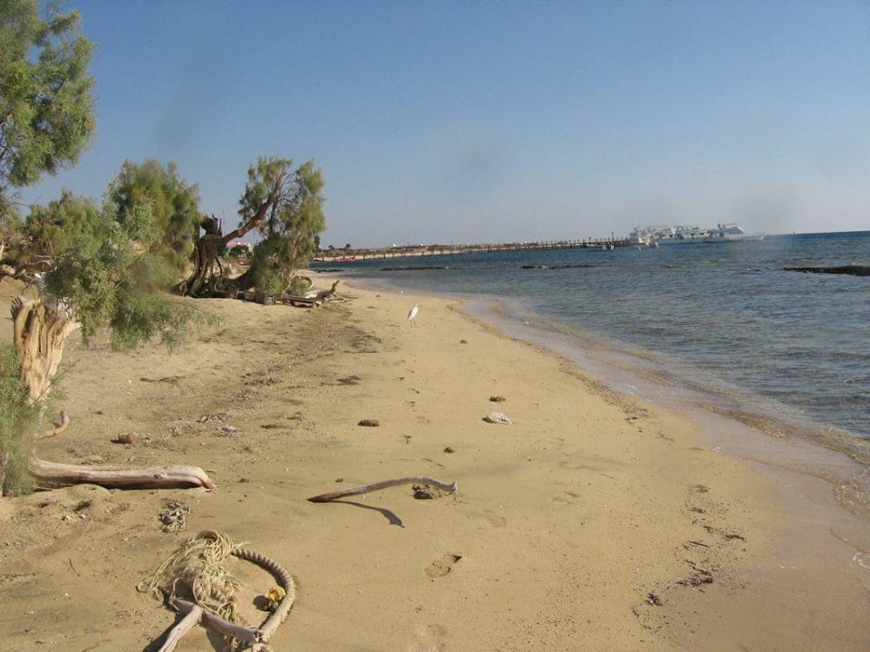 Beim Strandspaziergang Shams Alam Beach Resort