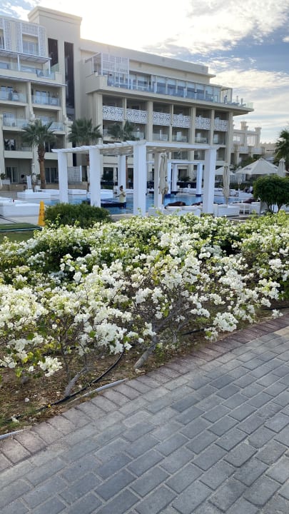 Gartenanlage Steigenberger ALDAU Beach Hotel