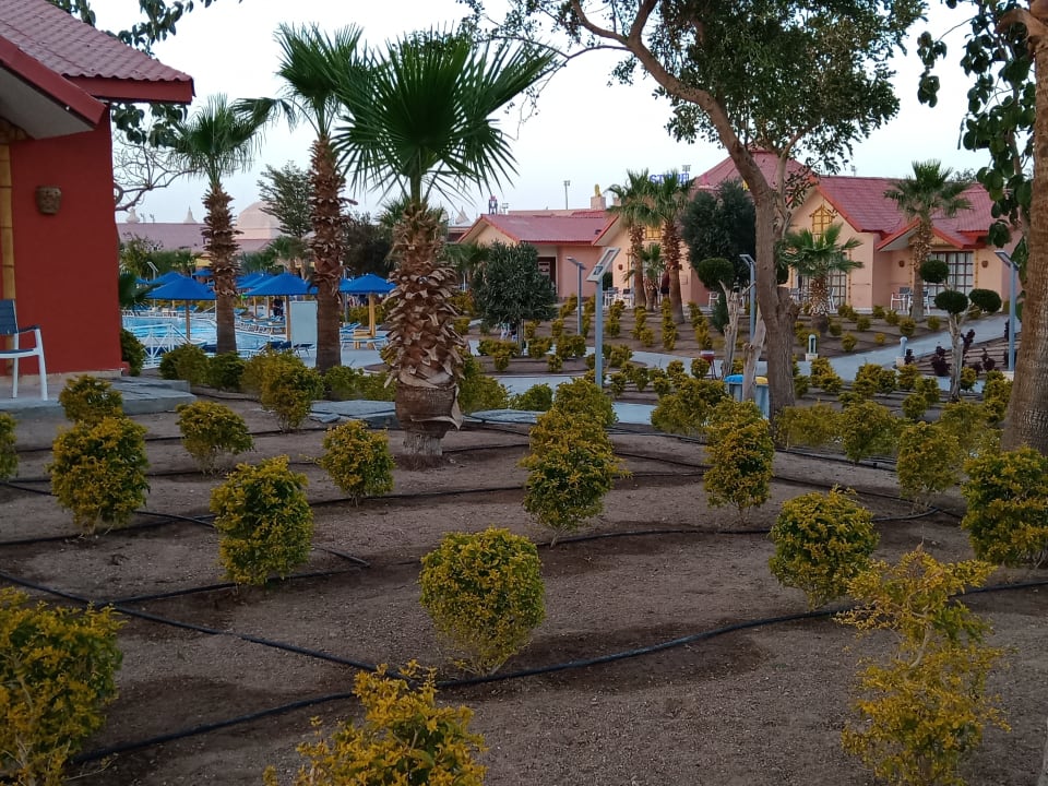 Gartenanlage Pickalbatros Jungle Aqua Park Resort - Neverland Hurghada