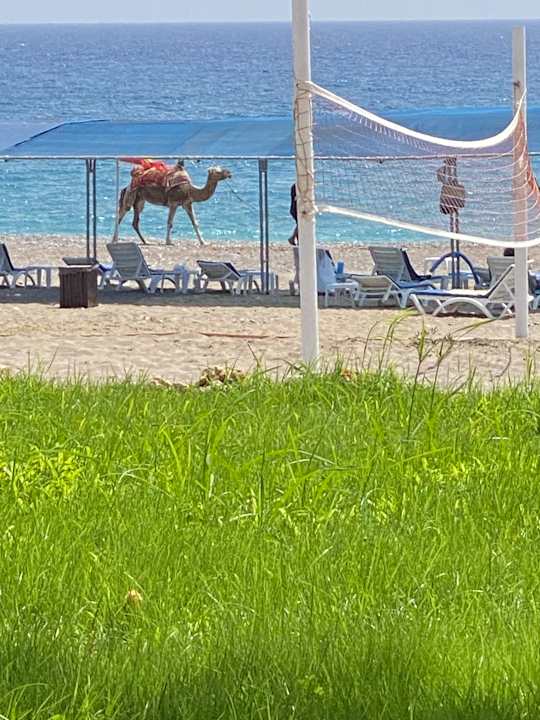 Strand Cenger Beach Resort & Spa