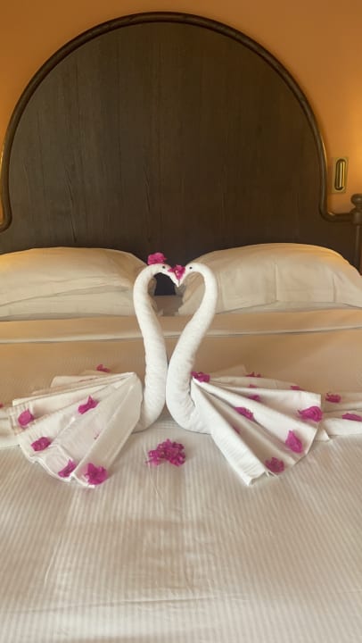 Zimmer The Cove Rotana Resort