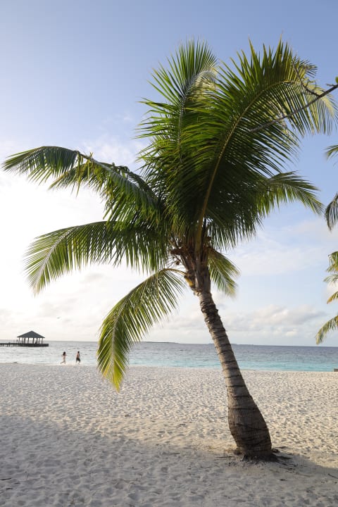 Strand Adaaran Select Meedhupparu Island Resort - Premium All Inclusive