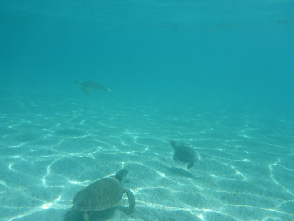 Strand Akumal Bay Beach & Wellness Resort