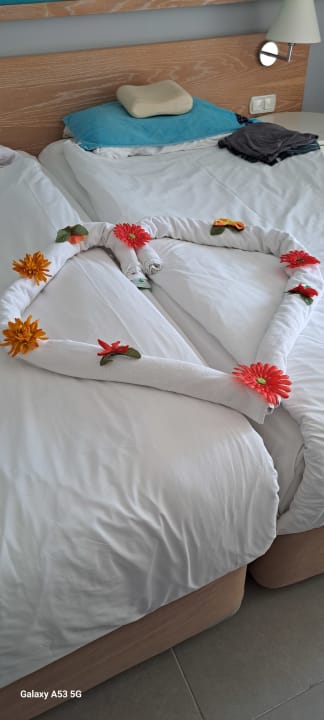 Zimmer Asteria Collection Side