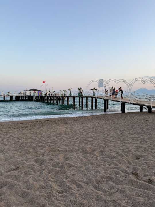 Strand Delphin BE Grand