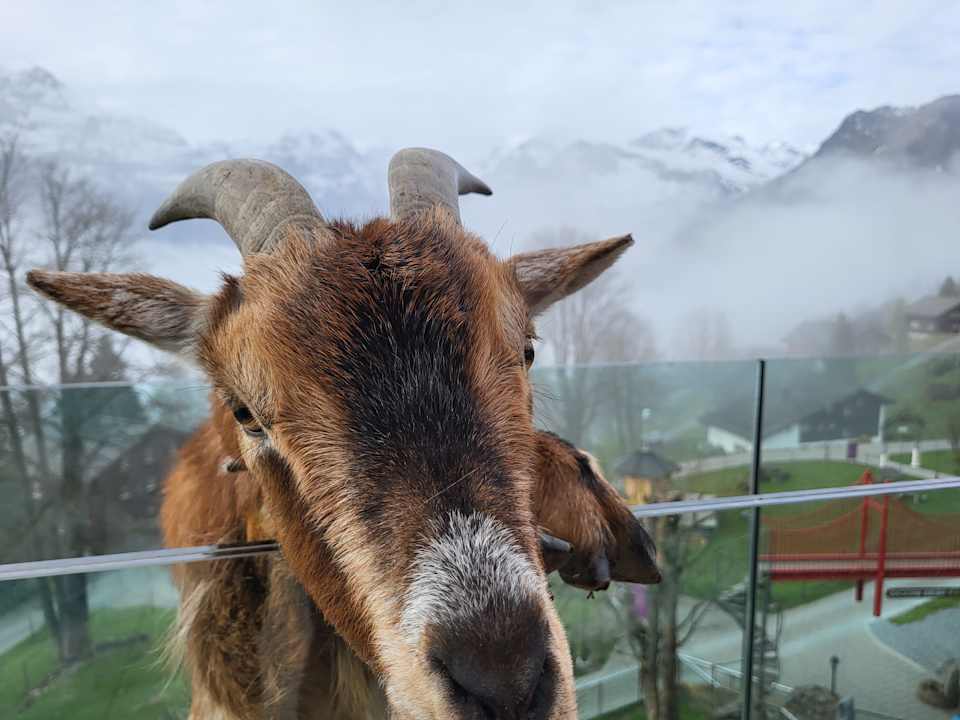 Sonstiges Märchenhotel Braunwald