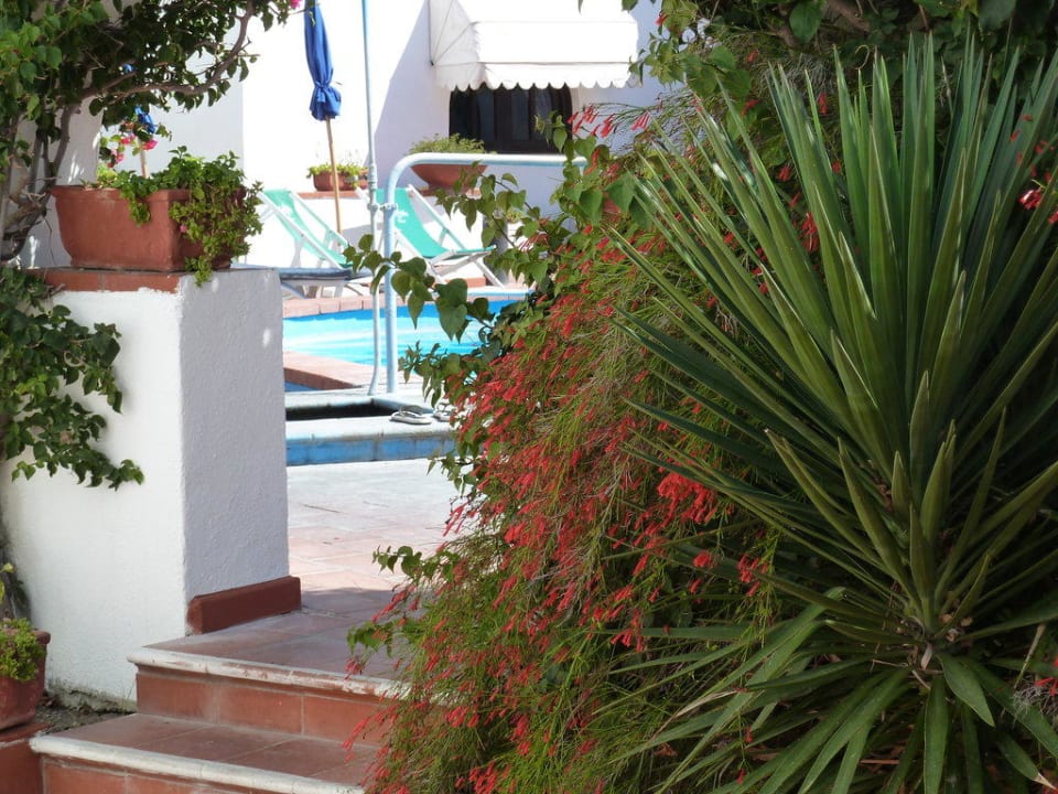 Der Pool - direkt vor der Tür  Hotel Terme Royal Palm