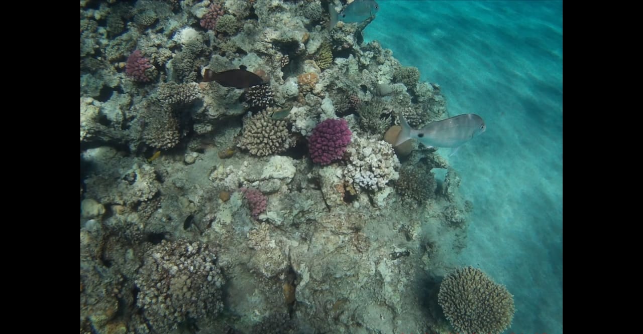 Sport & Freizeit Premier Le Reve Hotel & Spa