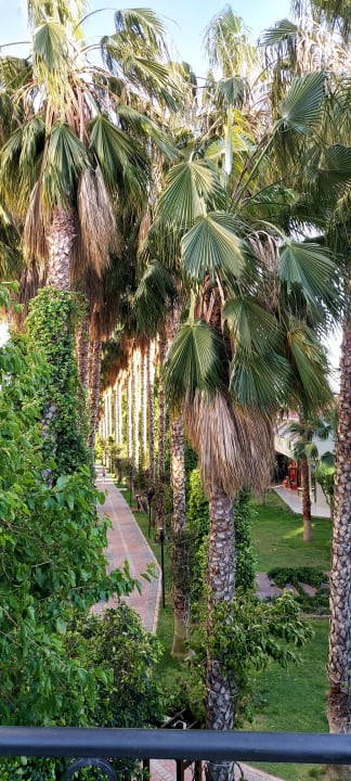 Gartenanlage Hotel Gardenia Beach