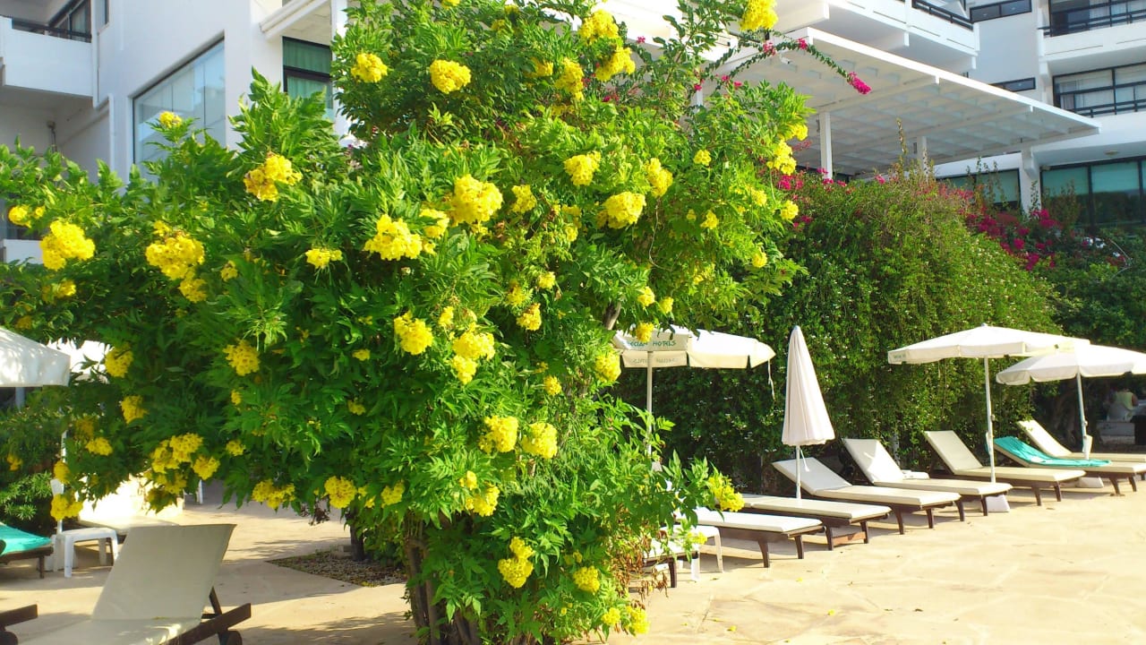 Pool 2 Hotel Grecian Bay