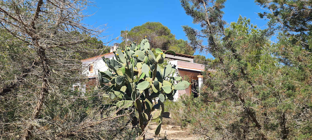 Außenansicht V.T. Casin Apartments