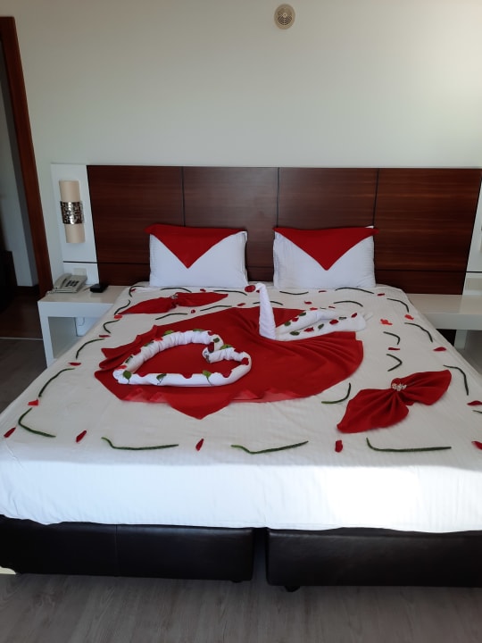 Zimmer Seaden Sea World Resort & Spa